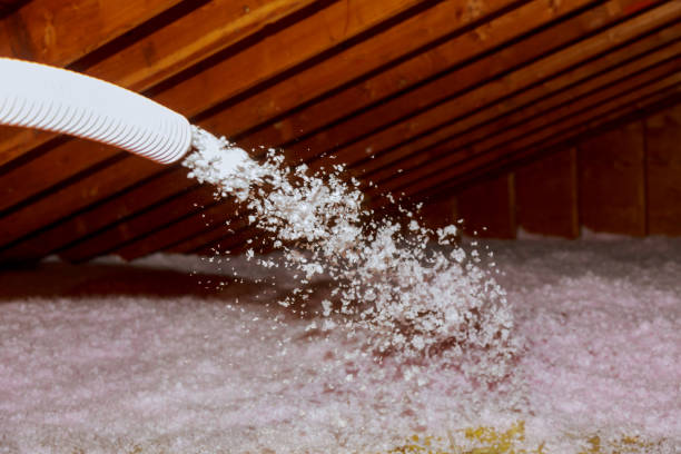 Best Blown-in Insulation  in Old Town, ME