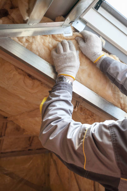 Best Insulation for New Construction  in Old Town, ME