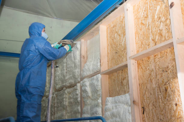 Best Insulation Repair Services  in Old Town, ME